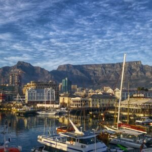 Half Hour Seal and Harbour Cruise from Cape Town