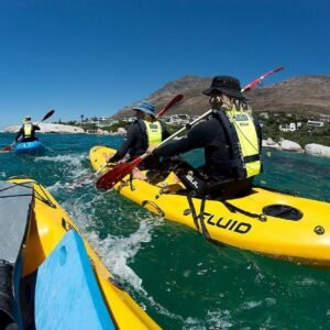 Kayaking – Paddle with the Penguins