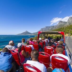 Cape Town Hop-On Hop-Off Bus Tour and Constantia Wine Tasting